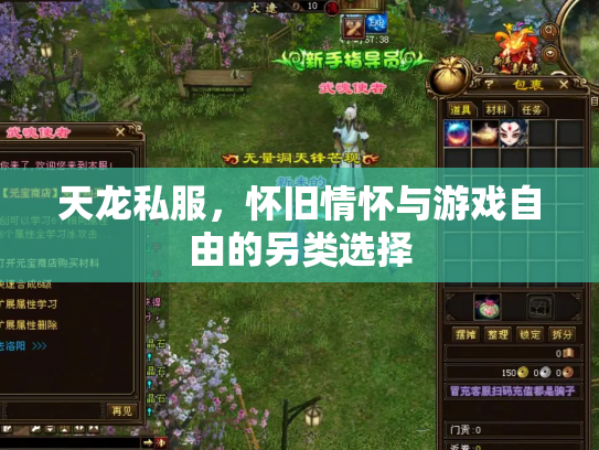 天龙私服，怀旧情怀与游戏自由的另类选择