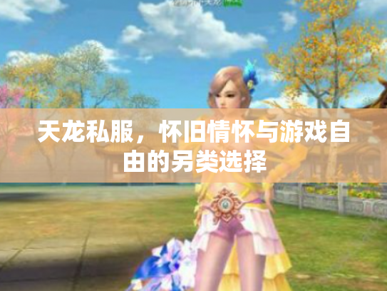 天龙私服，怀旧情怀与游戏自由的另类选择