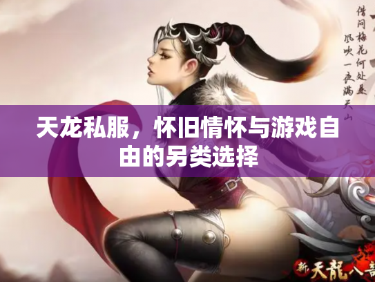 天龙私服，怀旧情怀与游戏自由的另类选择