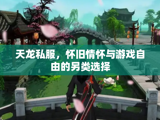 天龙私服，怀旧情怀与游戏自由的另类选择