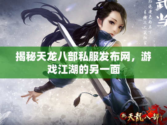揭秘天龙八部私服发布网，游戏江湖的另一面