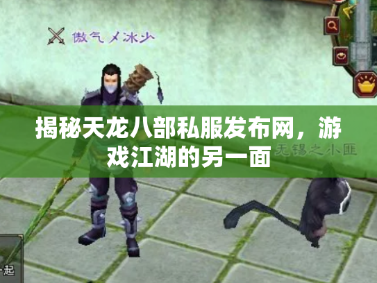 揭秘天龙八部私服发布网，游戏江湖的另一面