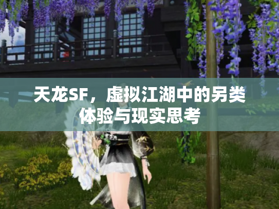 天龙SF，虚拟江湖中的另类体验与现实思考