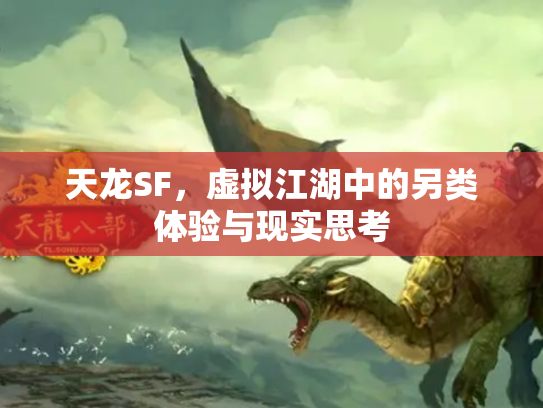 天龙SF，虚拟江湖中的另类体验与现实思考