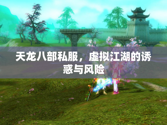 天龙八部私服，虚拟江湖的诱惑与风险