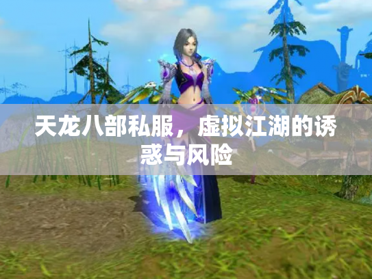 天龙八部私服，虚拟江湖的诱惑与风险