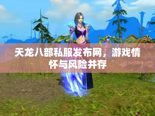 天龙八部私服发布网，游戏情怀与风险并存