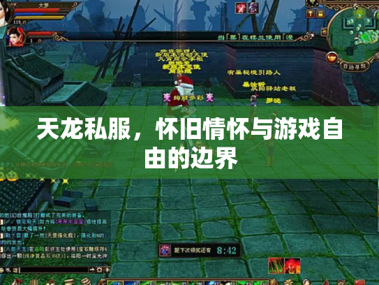 天龙私服，怀旧情怀与游戏自由的边界