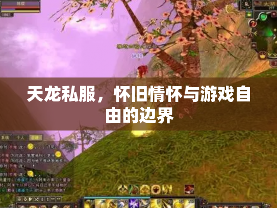 天龙私服，怀旧情怀与游戏自由的边界