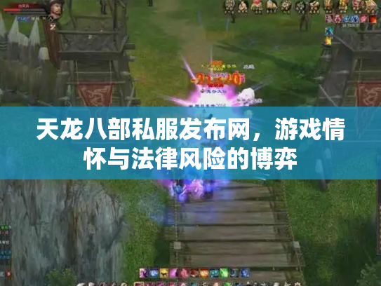 天龙八部私服发布网，游戏情怀与法律风险的博弈
