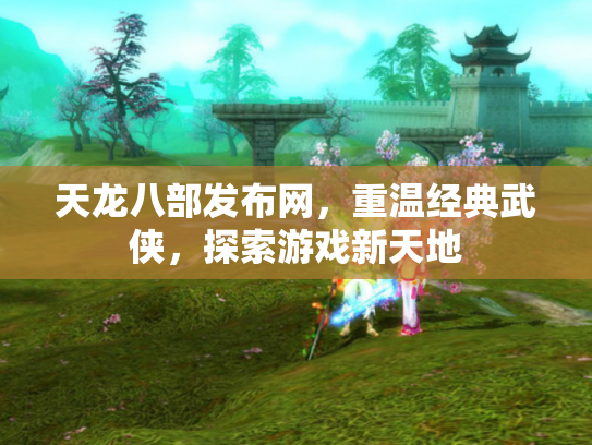 天龙八部发布网，重温经典武侠，探索游戏新天地