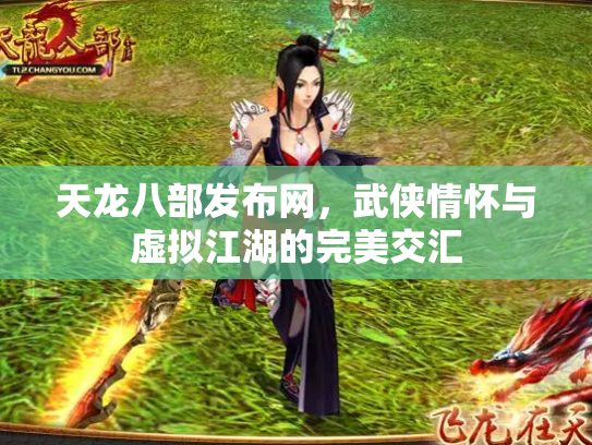 天龙八部发布网，武侠情怀与虚拟江湖的完美交汇