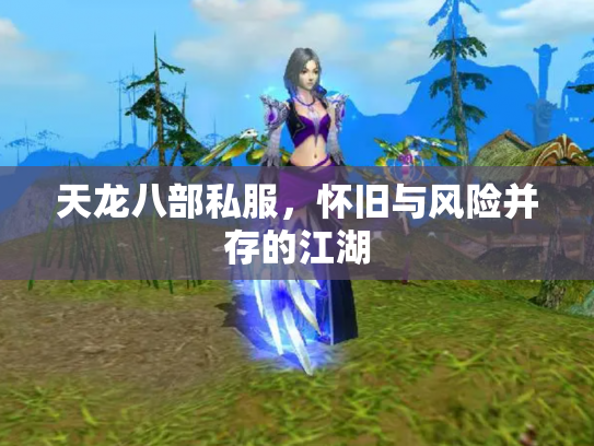 天龙八部私服，怀旧与风险并存的江湖
