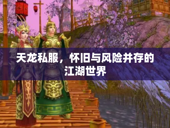 天龙私服，怀旧与风险并存的江湖世界