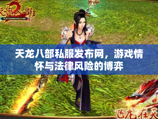 天龙八部私服发布网，游戏情怀与法律风险的博弈