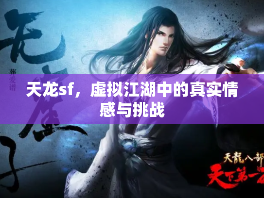 天龙sf，虚拟江湖中的真实情感与挑战