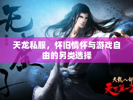 天龙私服，怀旧情怀与游戏自由的另类选择