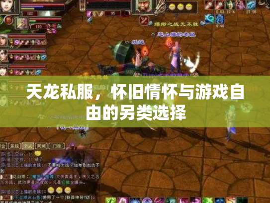 天龙私服，怀旧情怀与游戏自由的另类选择