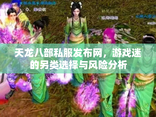 天龙八部私服发布网，游戏迷的另类选择与风险分析