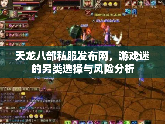 天龙八部私服发布网，游戏迷的另类选择与风险分析