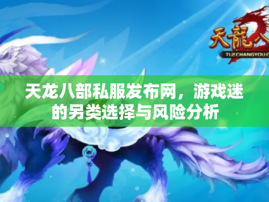 天龙八部私服发布网，游戏迷的另类选择与风险分析