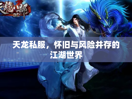 天龙私服，怀旧与风险并存的江湖世界