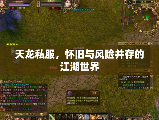 天龙私服，怀旧与风险并存的江湖世界
