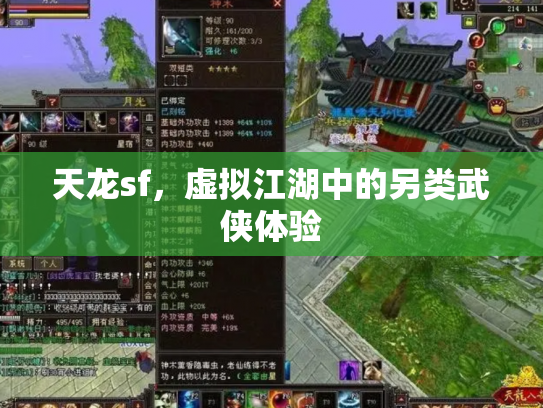 天龙sf，虚拟江湖中的另类武侠体验