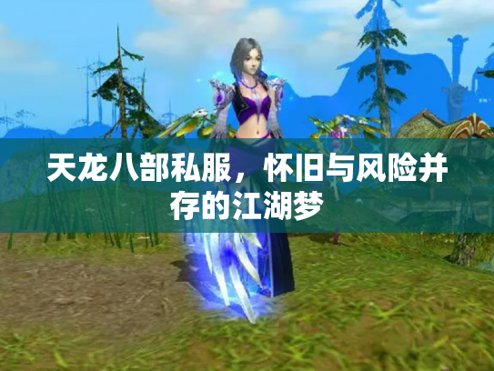 天龙八部私服，怀旧与风险并存的江湖梦