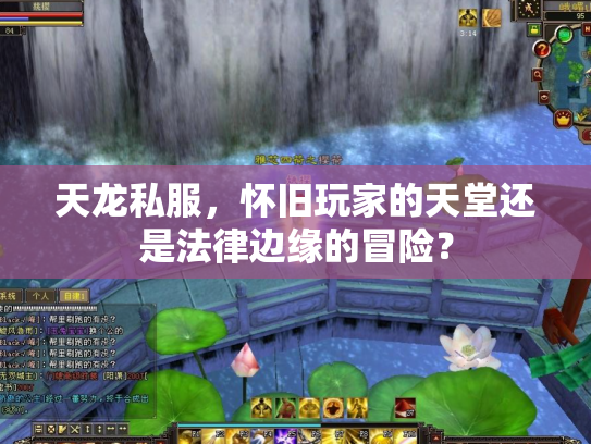天龙私服，怀旧玩家的天堂还是法律边缘的冒险？