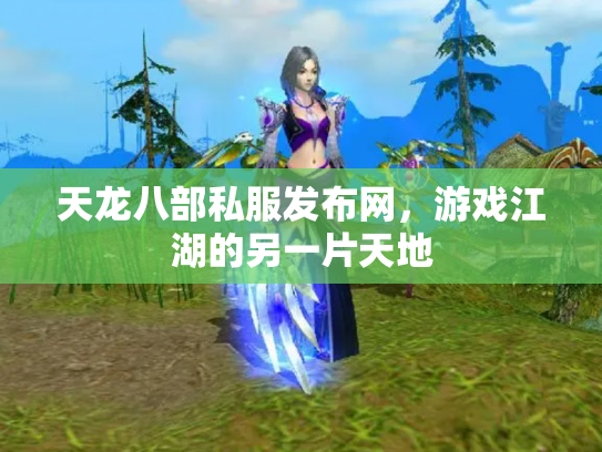天龙八部私服发布网，游戏江湖的另一片天地