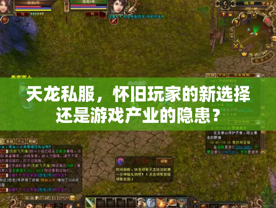 天龙私服，怀旧玩家的新选择还是游戏产业的隐患？