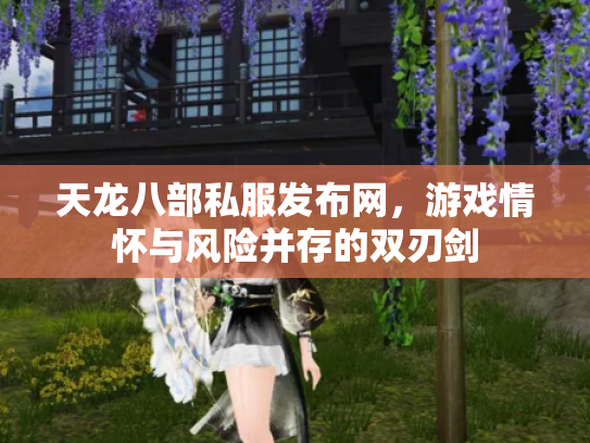 天龙八部私服发布网，游戏情怀与风险并存的双刃剑