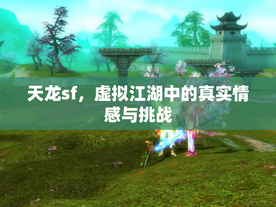 天龙sf，虚拟江湖中的真实情感与挑战