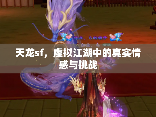 天龙sf，虚拟江湖中的真实情感与挑战