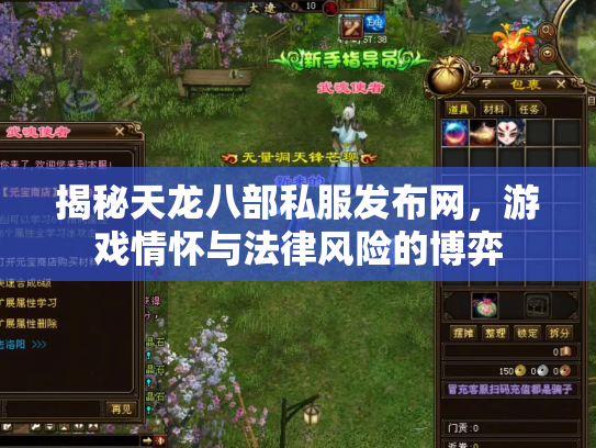 揭秘天龙八部私服发布网，游戏情怀与法律风险的博弈