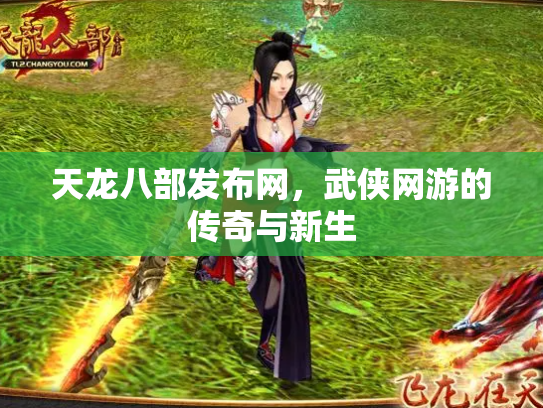 天龙八部发布网，武侠网游的传奇与新生