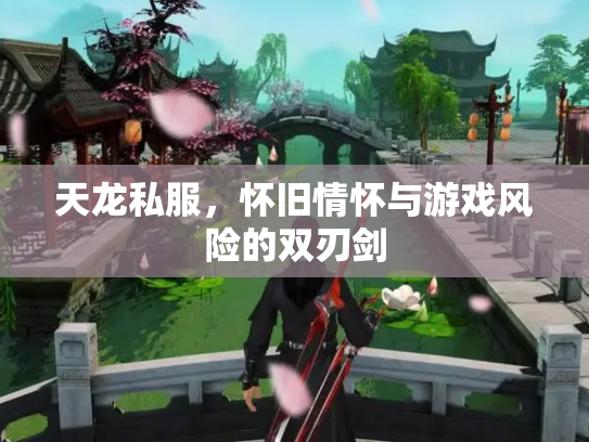 天龙私服，怀旧情怀与游戏风险的双刃剑