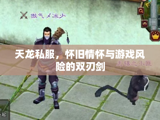 天龙私服，怀旧情怀与游戏风险的双刃剑