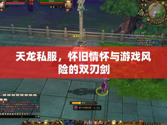 天龙私服，怀旧情怀与游戏风险的双刃剑