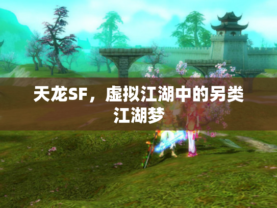 天龙SF，虚拟江湖中的另类江湖梦