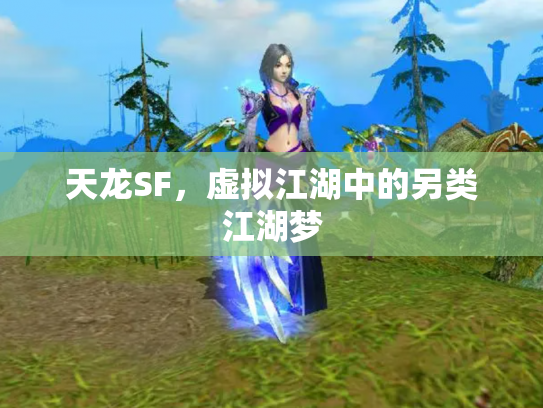 天龙SF，虚拟江湖中的另类江湖梦