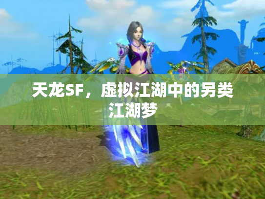 天龙SF，虚拟江湖中的另类江湖梦