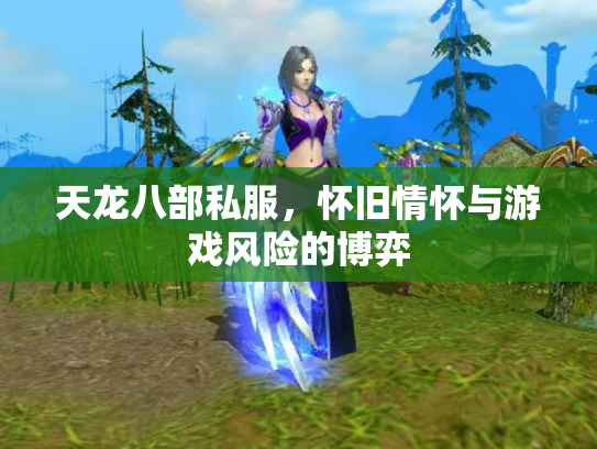 天龙八部私服，怀旧情怀与游戏风险的博弈