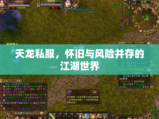 天龙私服，怀旧与风险并存的江湖世界