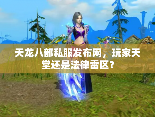 天龙八部私服发布网，玩家天堂还是法律雷区？