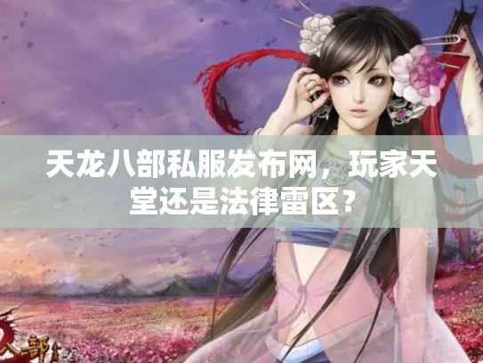 天龙八部私服发布网，玩家天堂还是法律雷区？