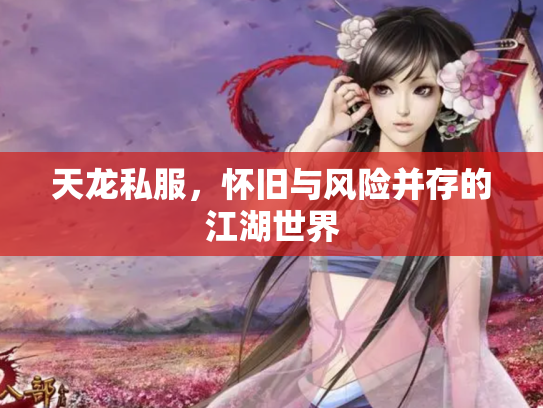 天龙私服，怀旧与风险并存的江湖世界