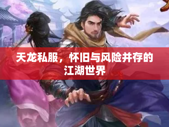 天龙私服，怀旧与风险并存的江湖世界
