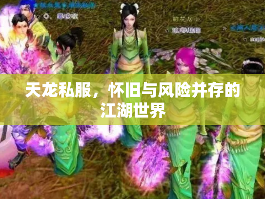 天龙私服，怀旧与风险并存的江湖世界